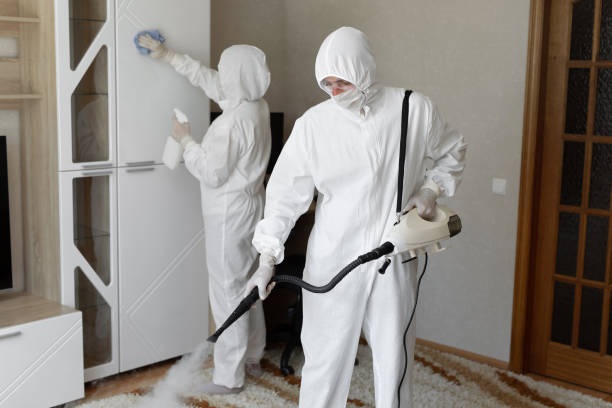 Mold Removal Process in Clarksville, TX