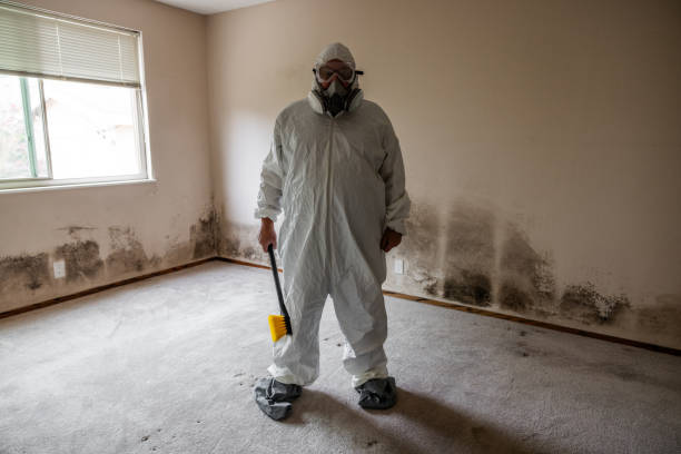 Best Emergency Mold Removal  in Clarksville, TX